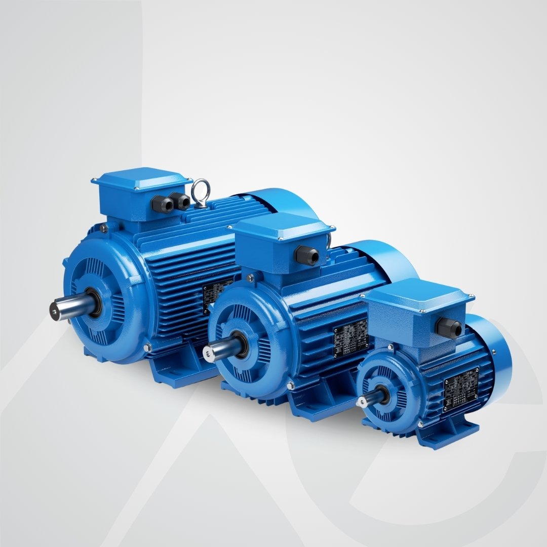 AC  DC Electric Motor